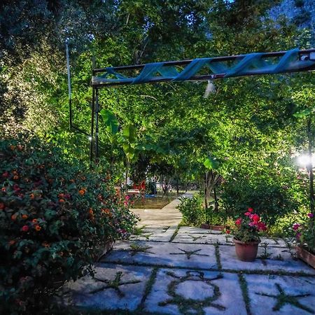 Arya Holiday Houses Çıralı المظهر الخارجي الصورة